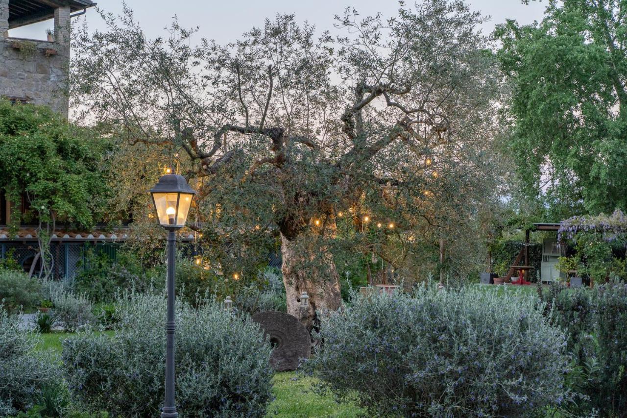 L'Olivo Country Resort & Spa Bassano in Teverina Esterno foto